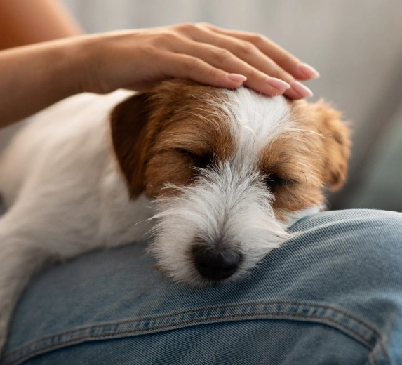 Comprehensive Pain Management You Can Trust